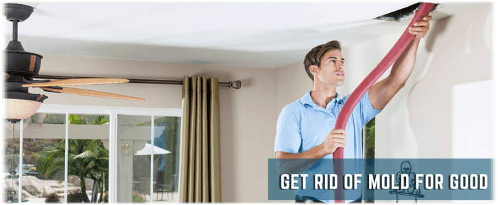 Air Duct Mold Removal in Mount Laurel NJ