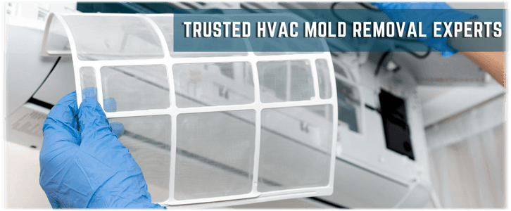 HVAC Mold Removal Mount Laurel NJ